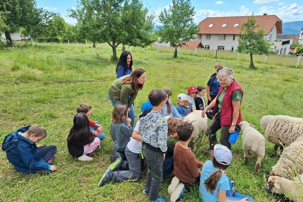Behringer Hof