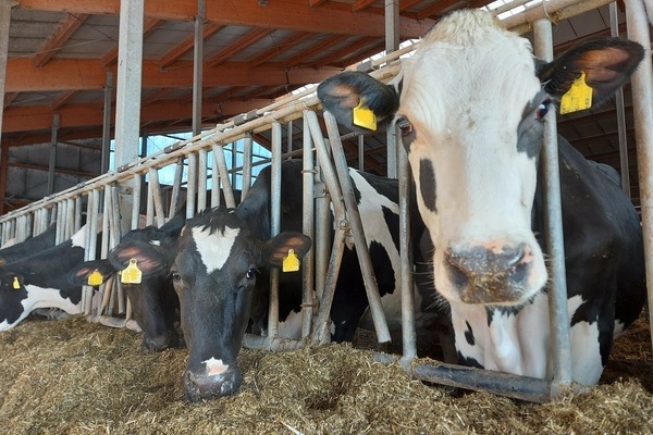 Lnge Agrar-Milch GbR