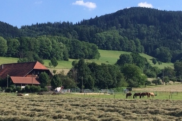 Schtterleshof